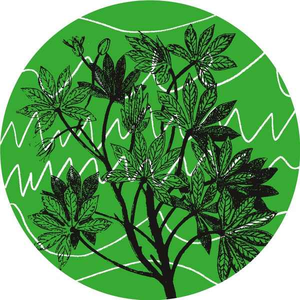 Brasil Novas Frequencias [Vinyl]