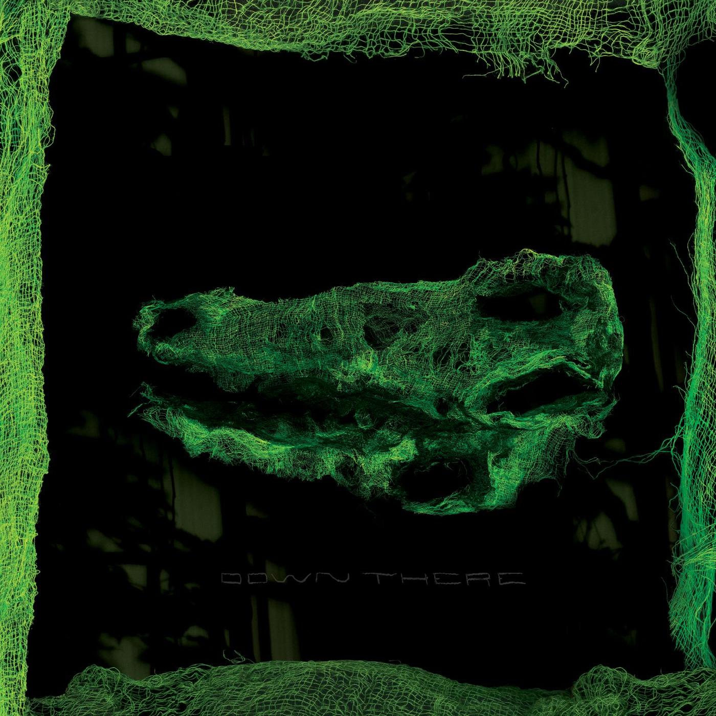 Down There [Vinyl]