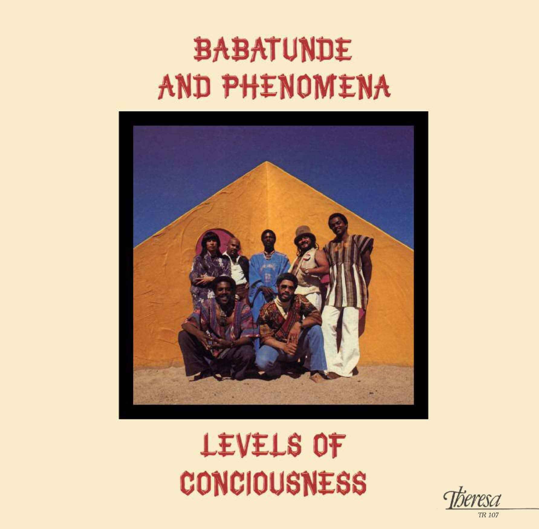 Levels Of Consciousness [Vinyl]