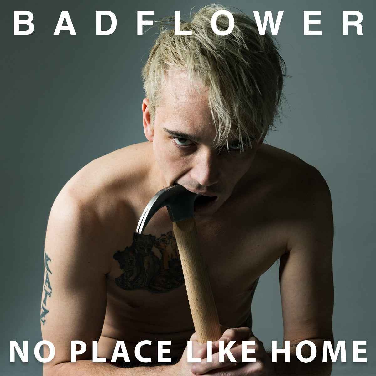 No Place Like Home [Pure Cloudy 2 Lp] [Vinyl]