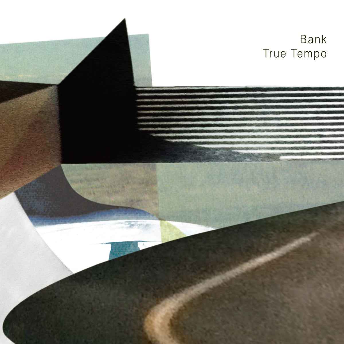 True Tempo [Vinyl]