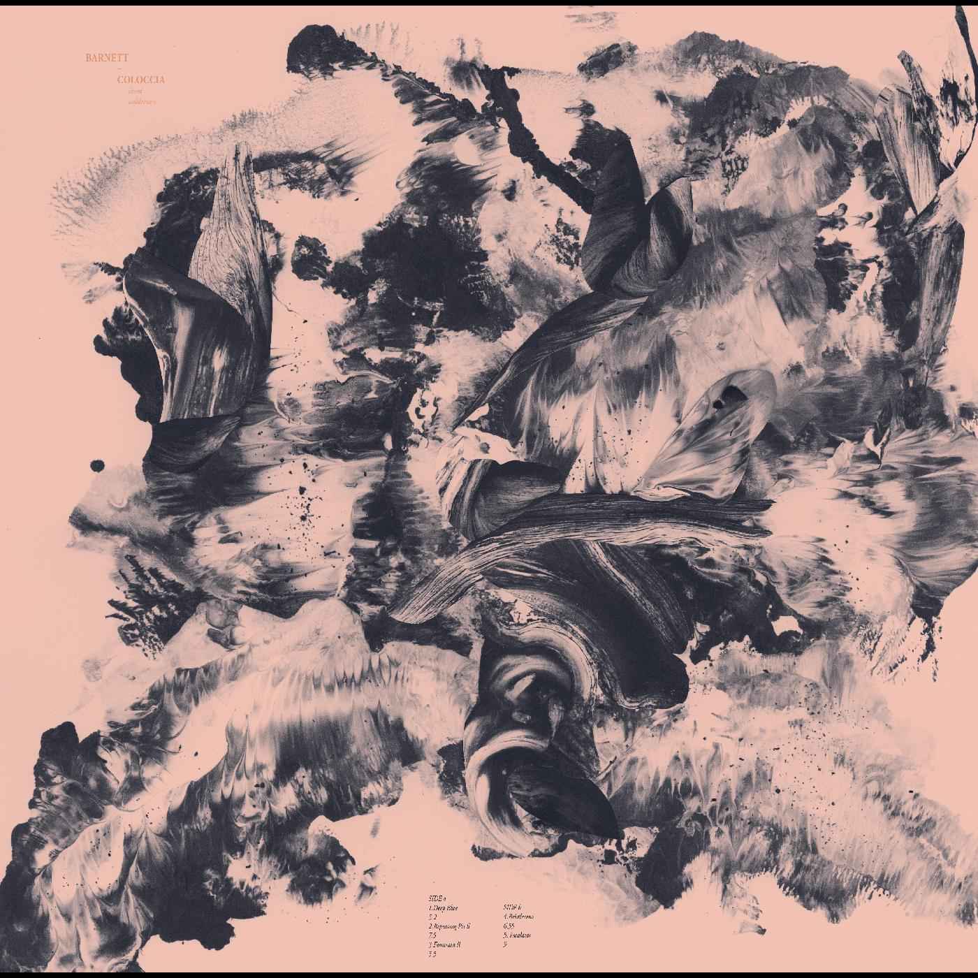 Third Wilderness (TAN & BLUE/GREY VINYL) [Vinyl]