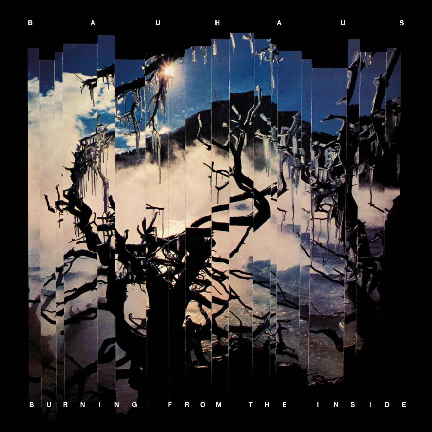 Burning From The Inside [CD]