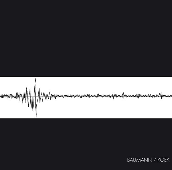 Baumann/Koek [Vinyl]