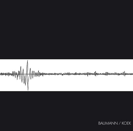 Baumann/Koek [Vinyl]