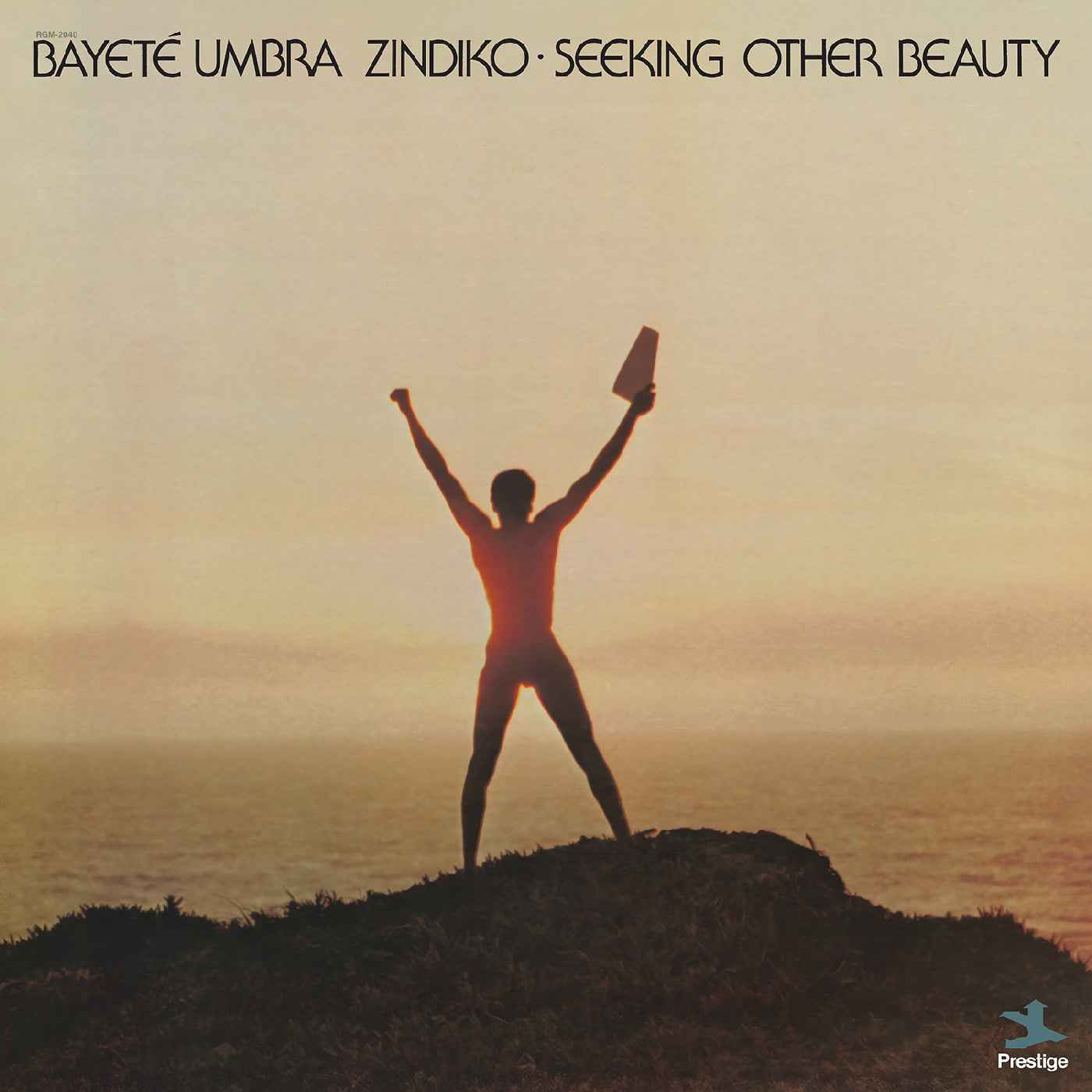 Seeking Other Beauty (All-Analog) [Vinyl]