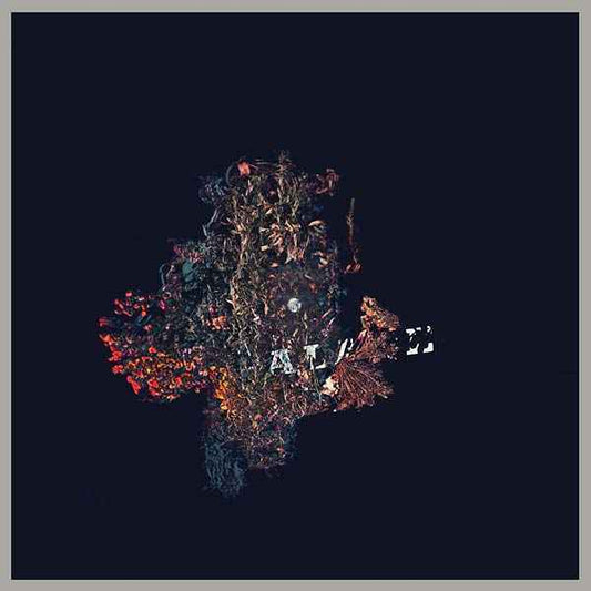 B/B/S/ - Palace [Vinyl]