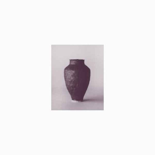 BEATRIZ FERREYRA - UFO Forest + [Vinyl]