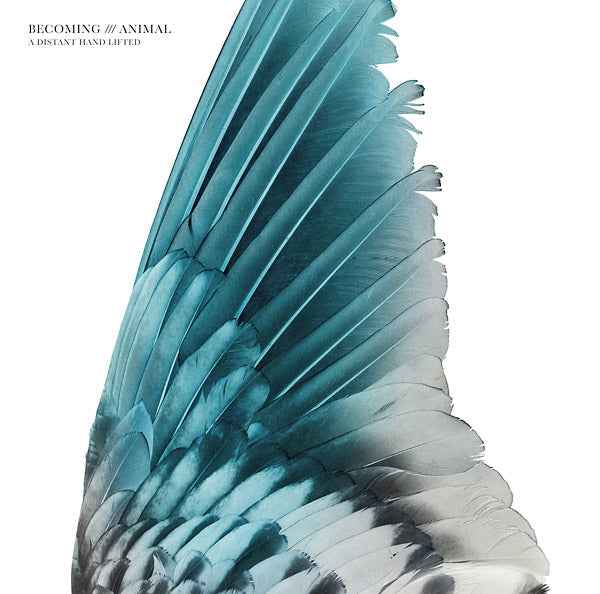 BECOMING ANIMAL - A Distant Hand Lifted [Vinyl]