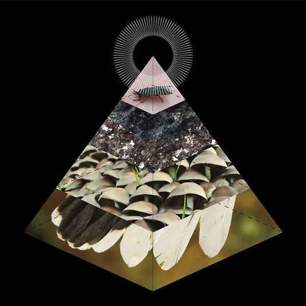 Apophenia [CD]