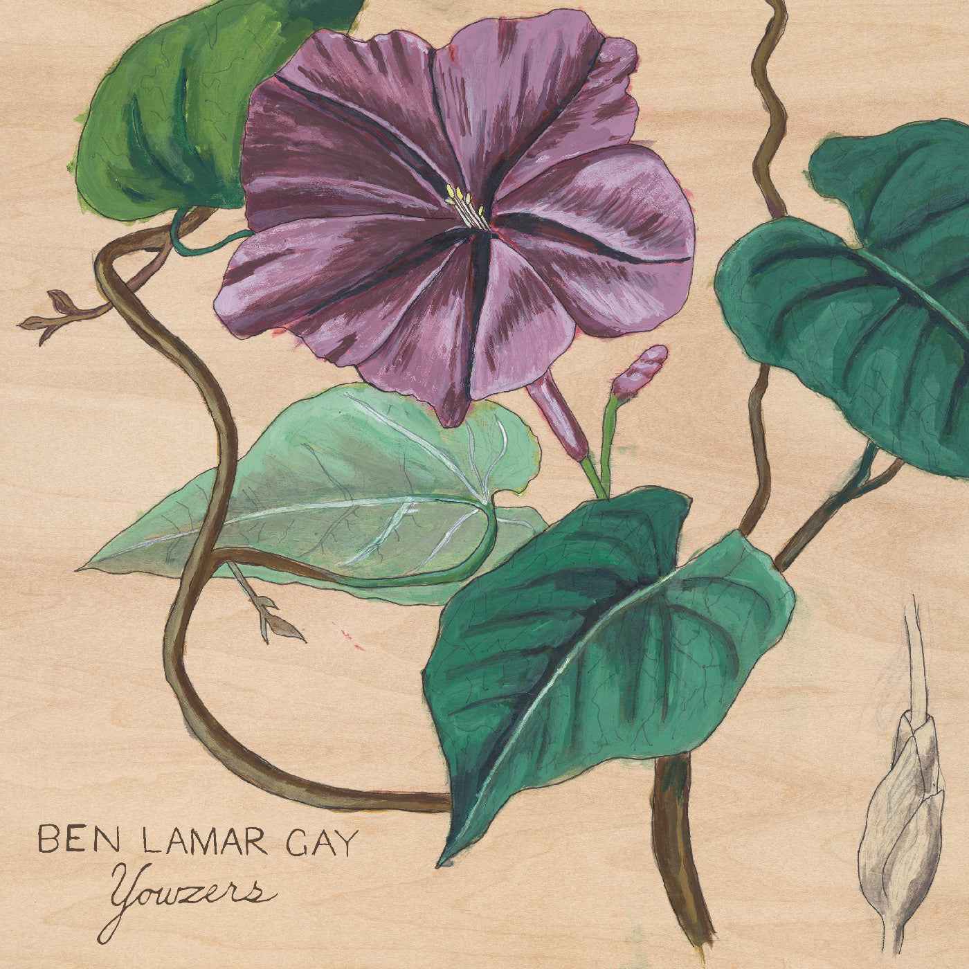 Yowzers (Ipomoea Jalapa Marble Pink Vinyl) [Vinyl]