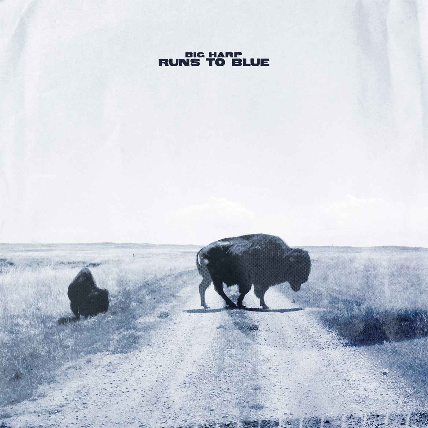 Runs To Blue (Opaque Blue Vinyl) [Vinyl]