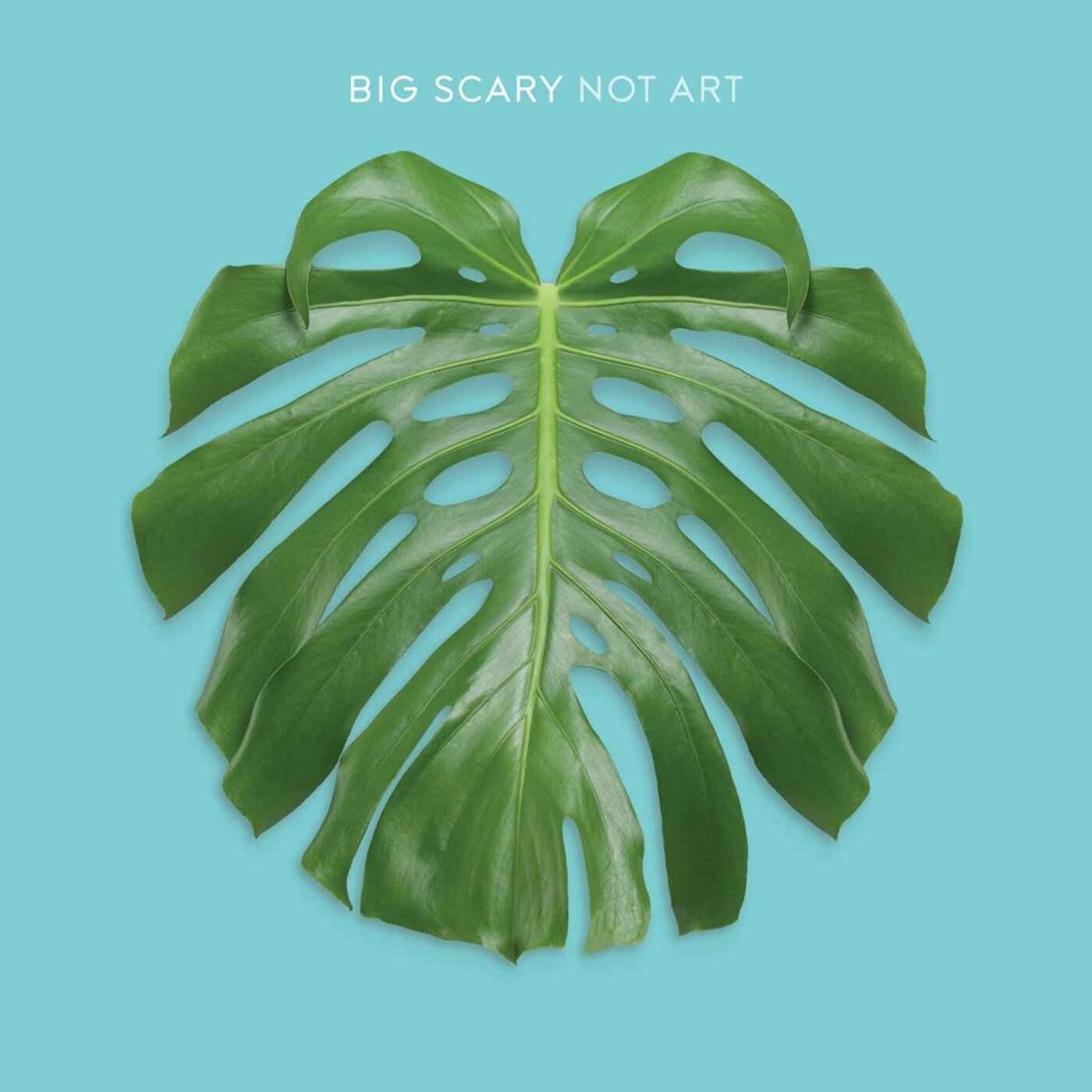 Not Art [CD]