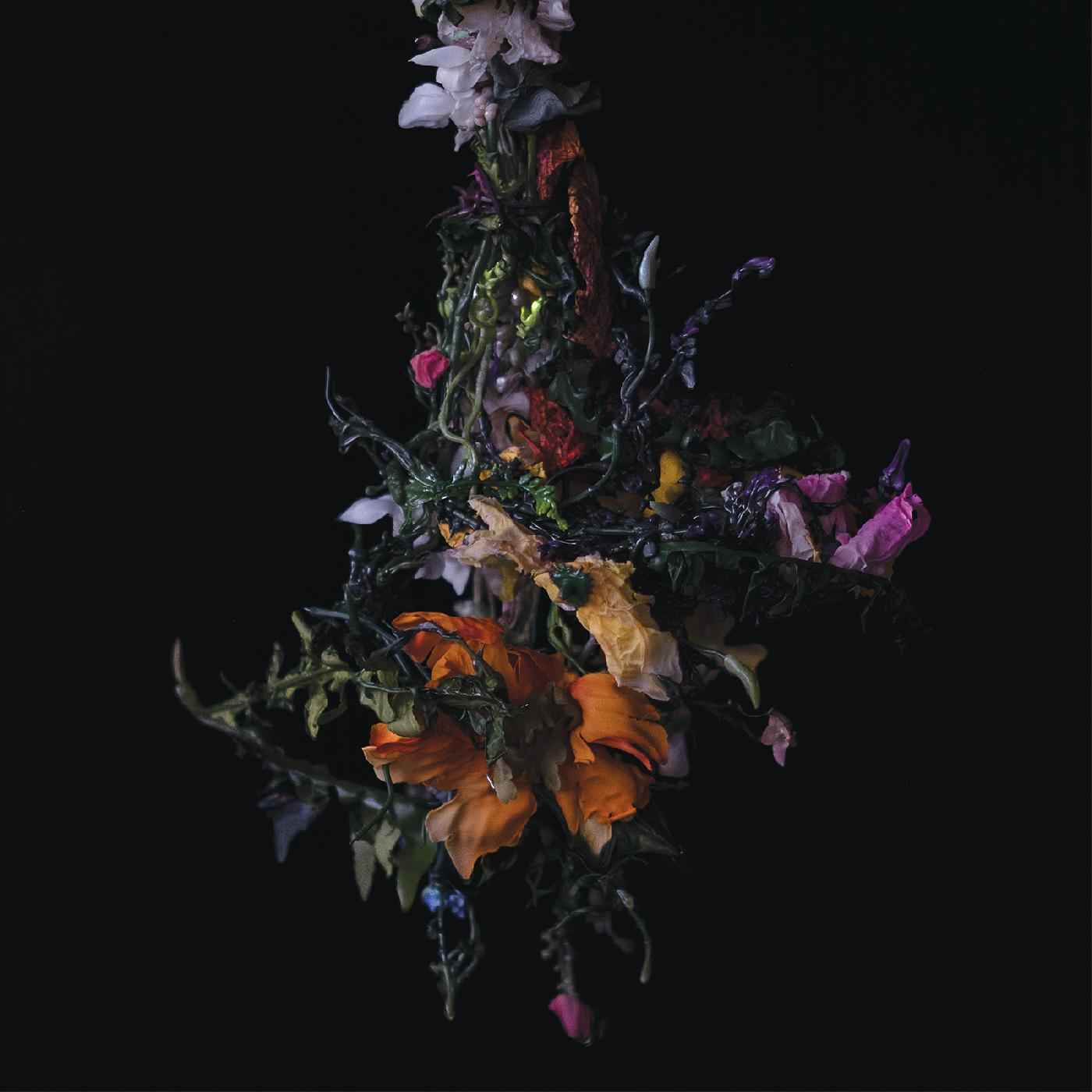 nature morte [CD]