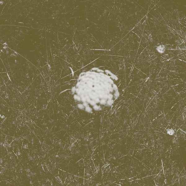The Clear Distance [CD]