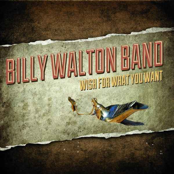 Wish For What You Want [CD]