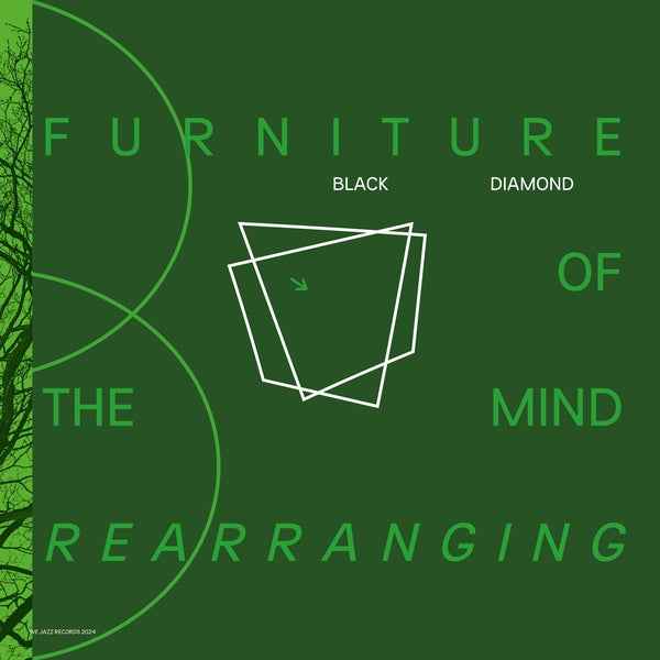 Furniture Of Mind Rearranging [Vinyl]