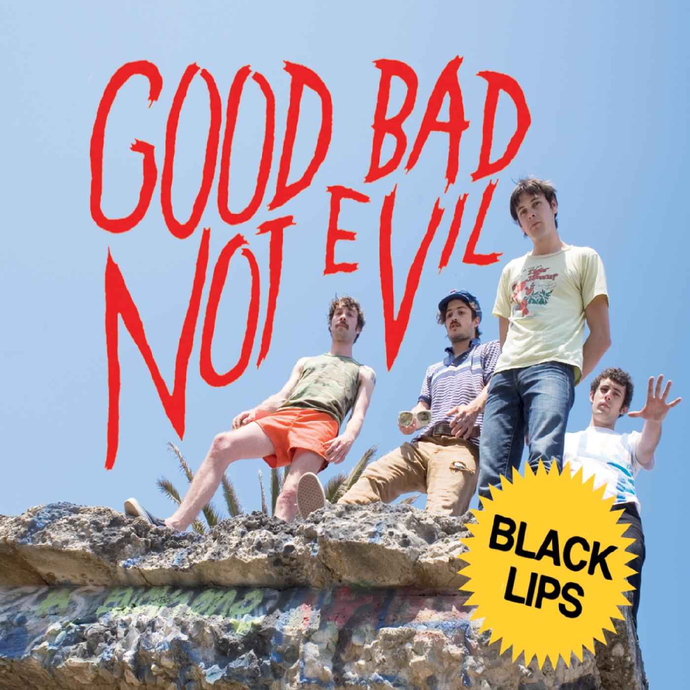 Good Bad Not Evil (DELUXE EDITION) [CD]