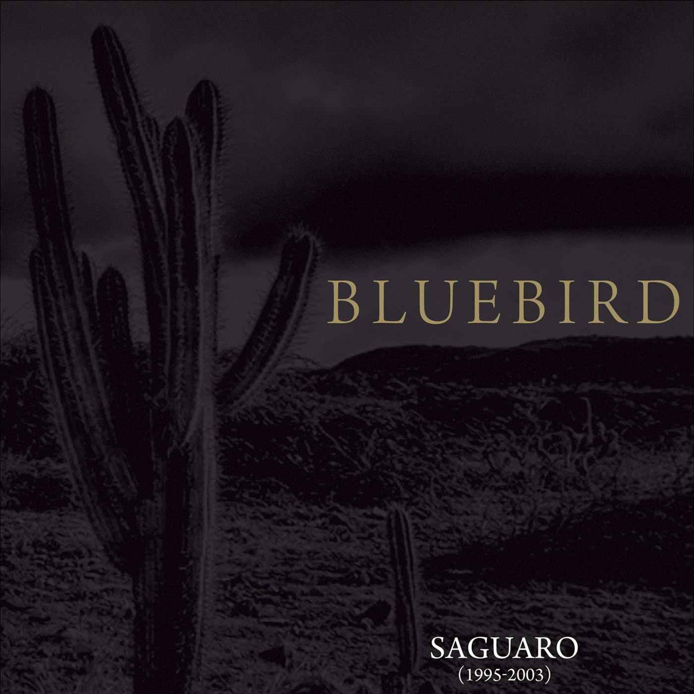 Saguaro (1995-2003) [CD]