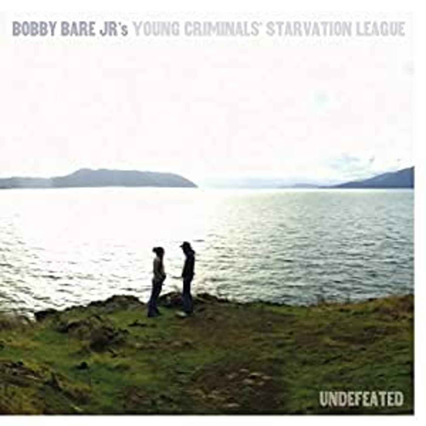 Undefeated [Vinyl]