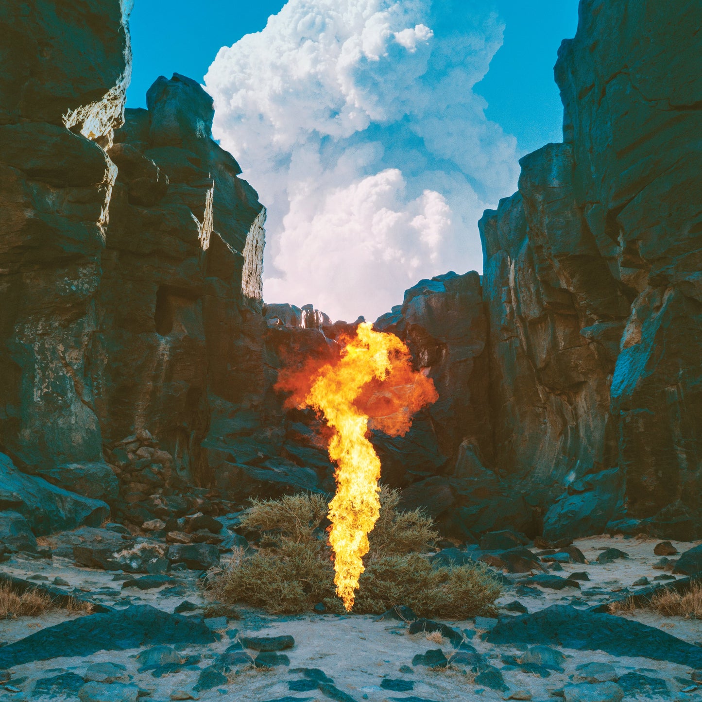 Migration [Vinyl]