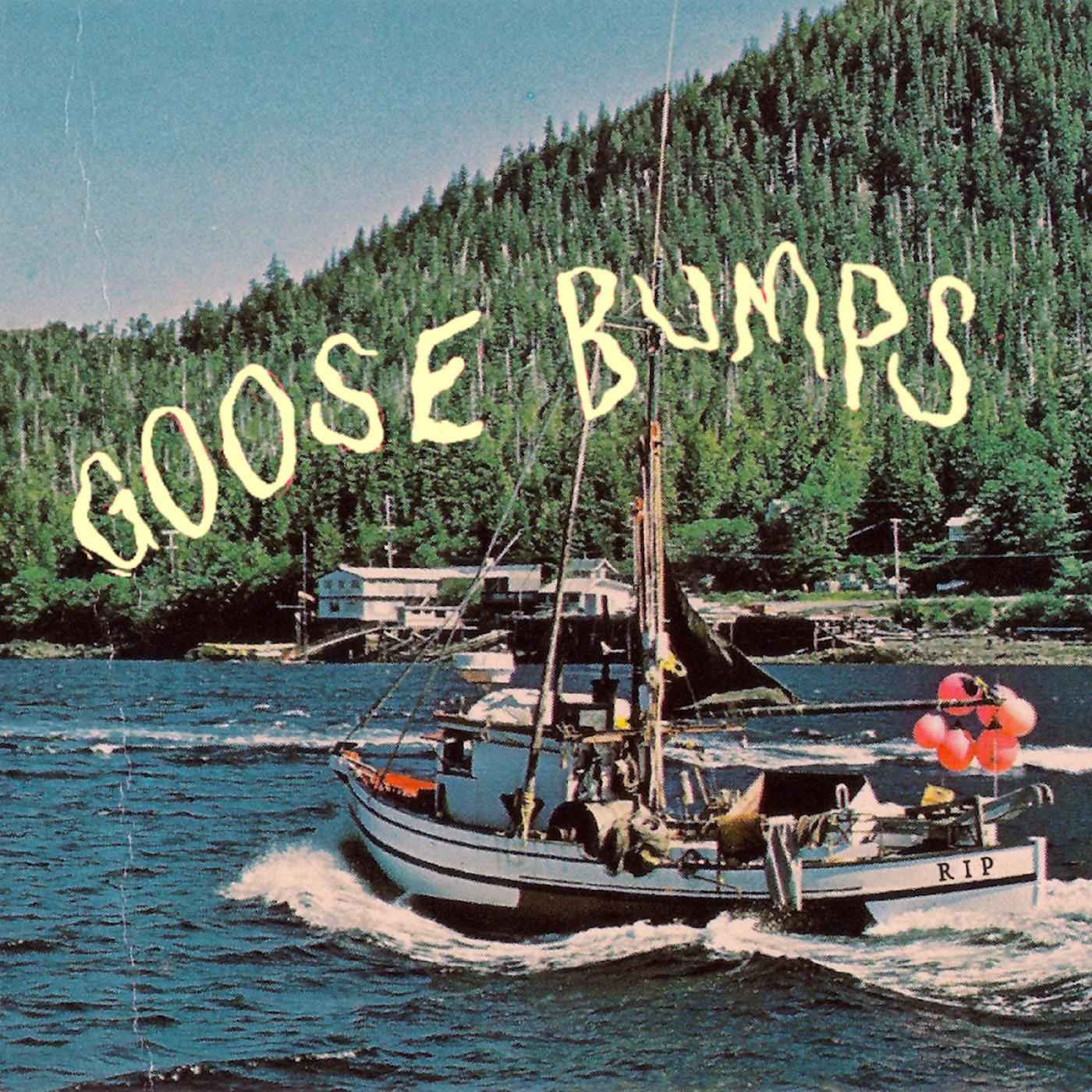 Goose Bumps [CD]
