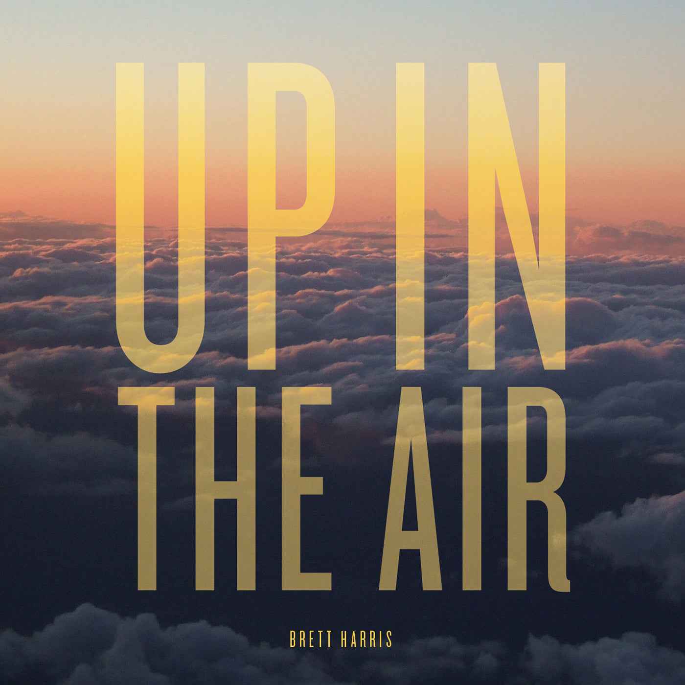 Up In The Air [Vinyl]