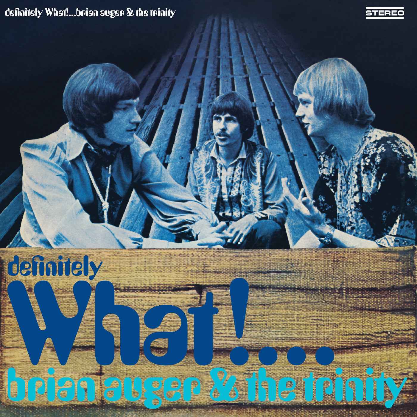 Definitely What! [Vinyl]