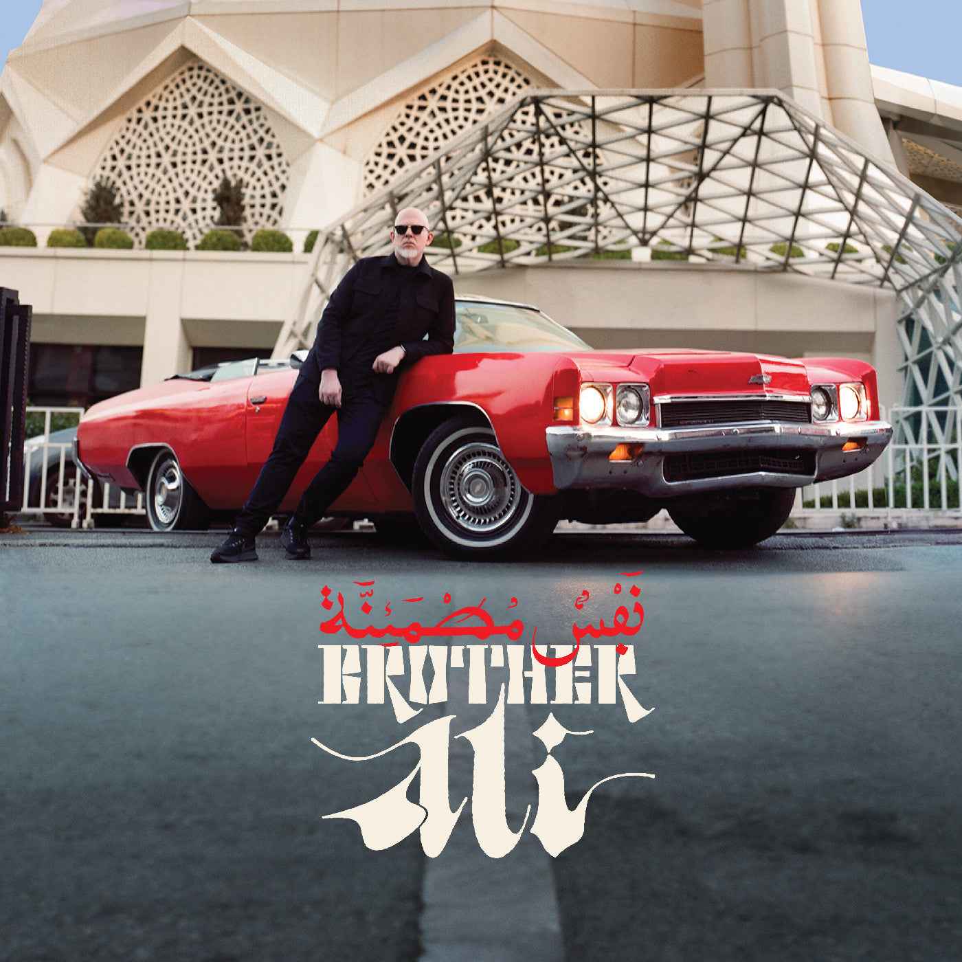 Satisfied Soul [Vinyl]