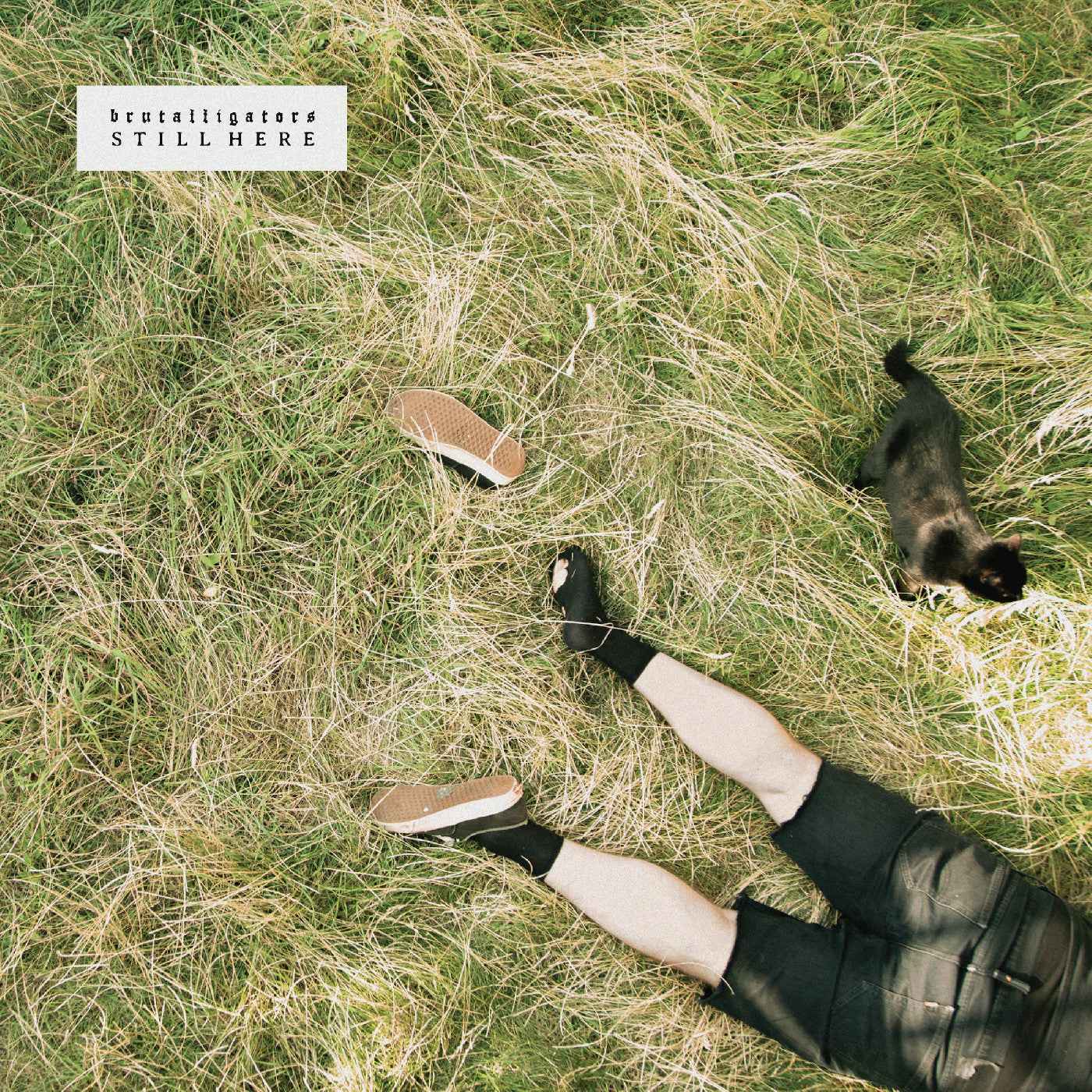 Still Here (Indie Exclusive Grassy Green Marbled Vinyl) [Vinyl]