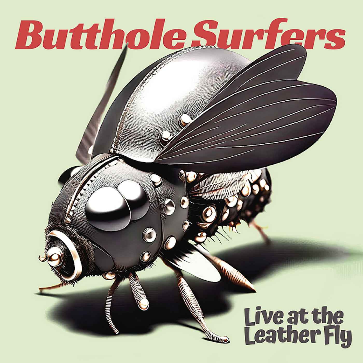 Live At The Leather Fly (Opaque Pink Vinyl) [Vinyl]