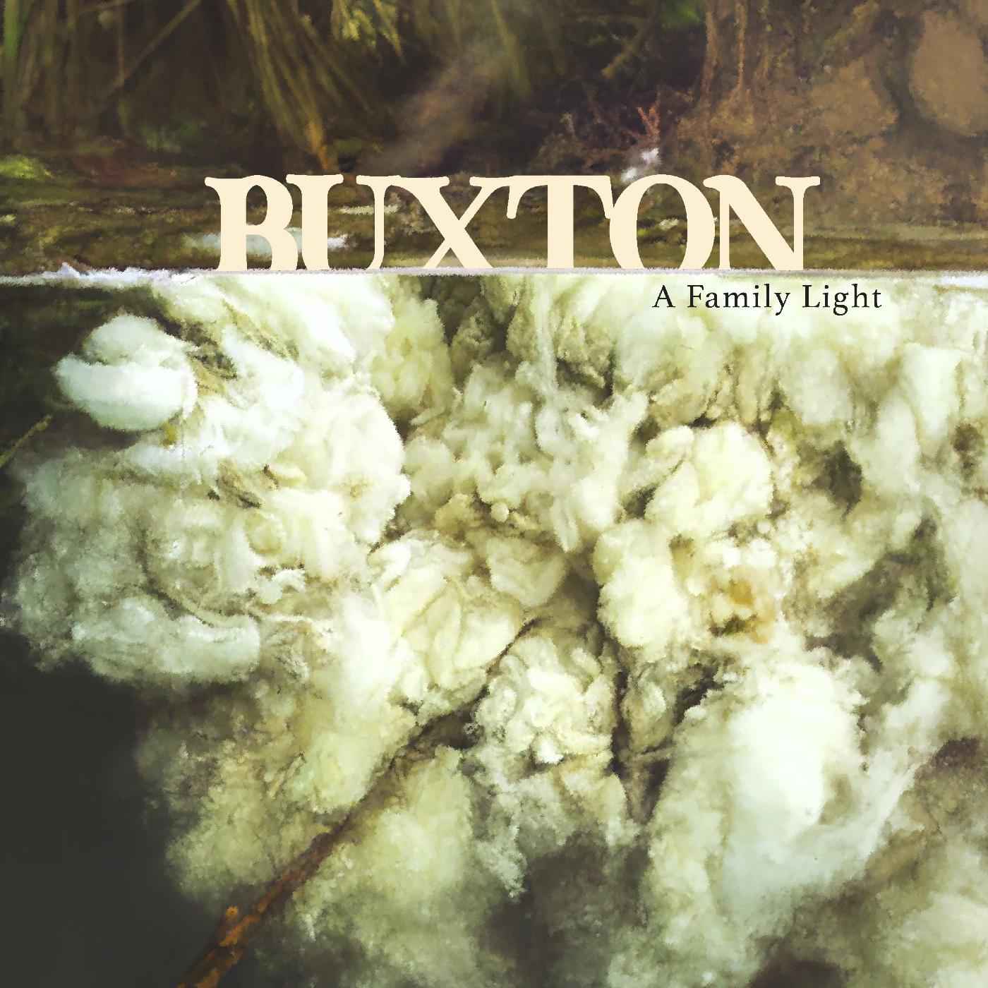 A Family Light [CD]