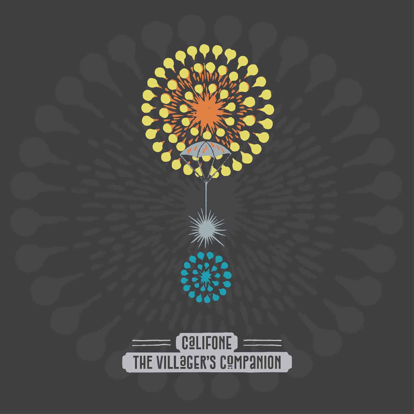The Villager'S Companion [Vinyl]