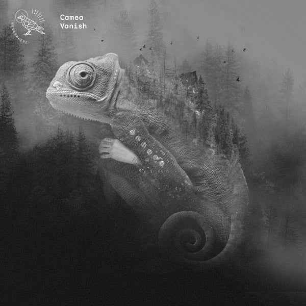 Vanish [Vinyl]