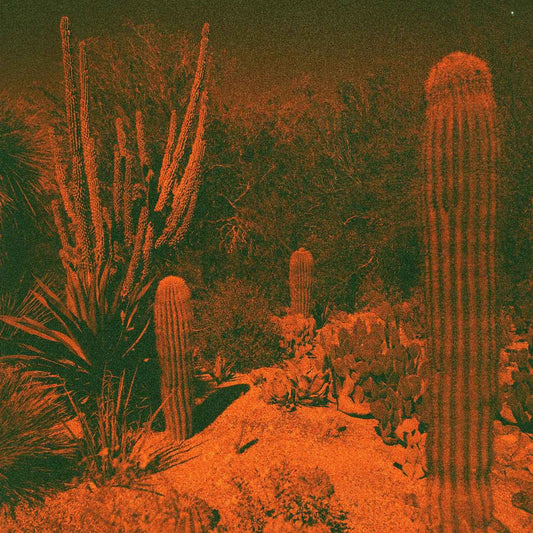 Anticipation (Indie Exclusive Purple Vinyl) [Vinyl]