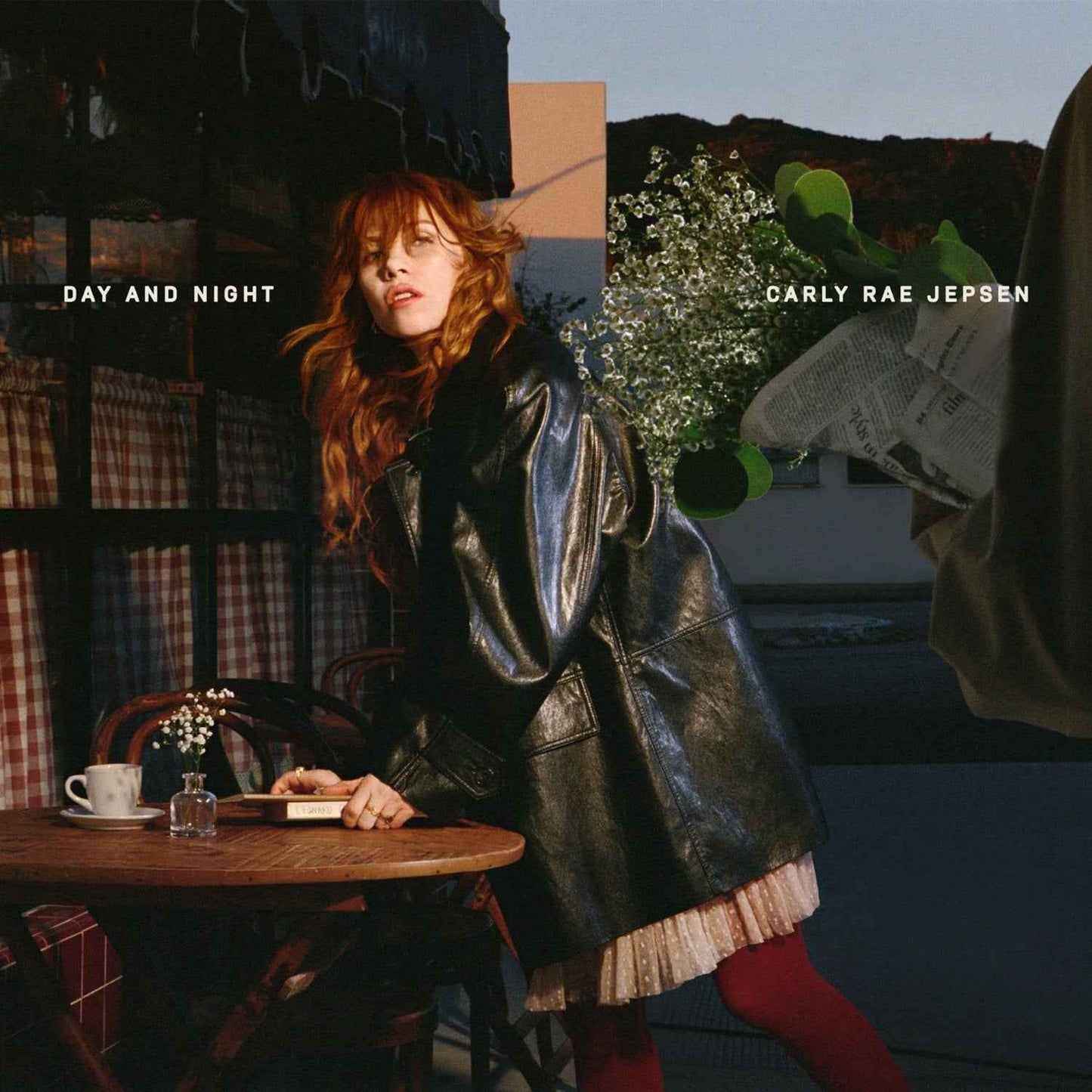 PRE-ORDER Carly Rae Jepsen - Day And Night [CD]