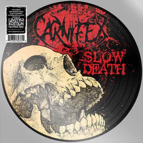 Slow Death (Indie Exclusive, Picture Disc Vinyl) [Vinyl]