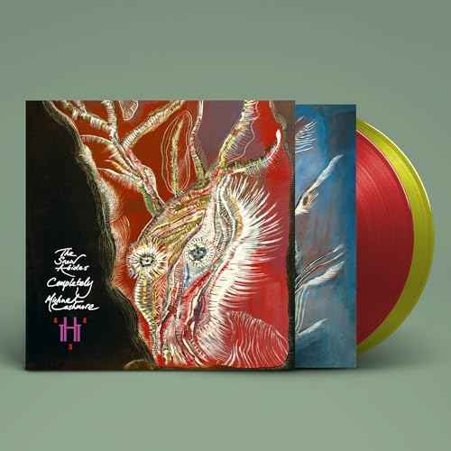 The Snow Abides Completely [Vinyl]