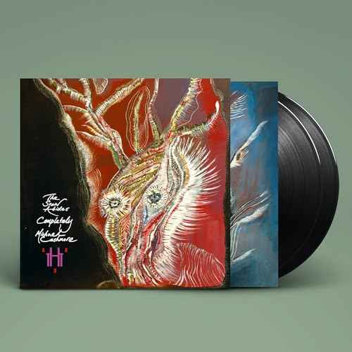 The Snow Abides Completely [Vinyl]