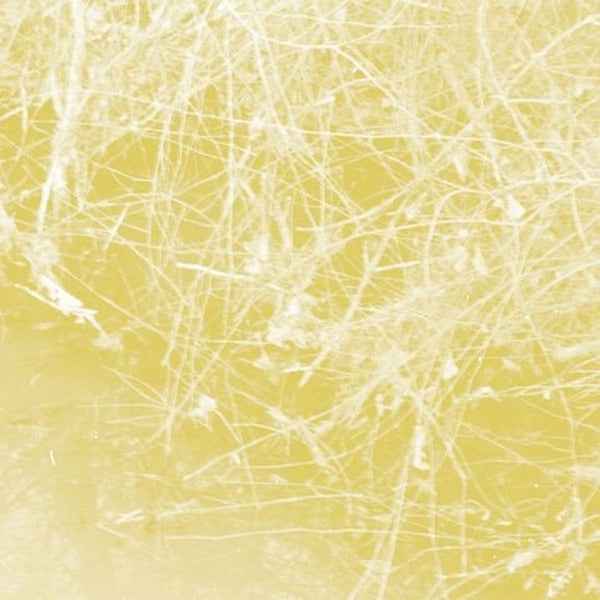 Cursory Asperses [CD]