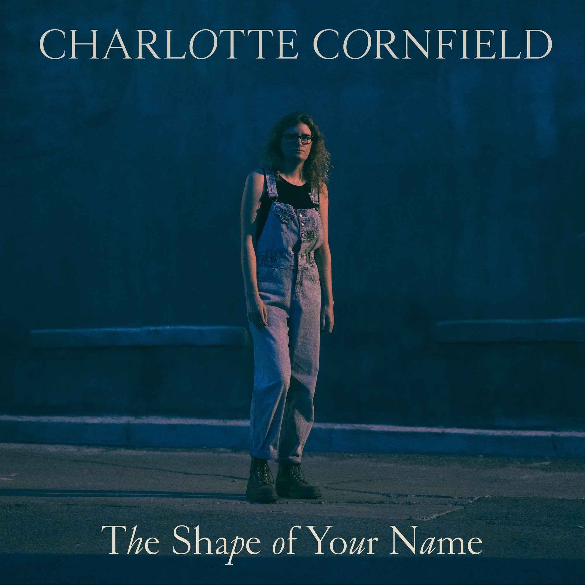 The Shape Of Your Name [CD]