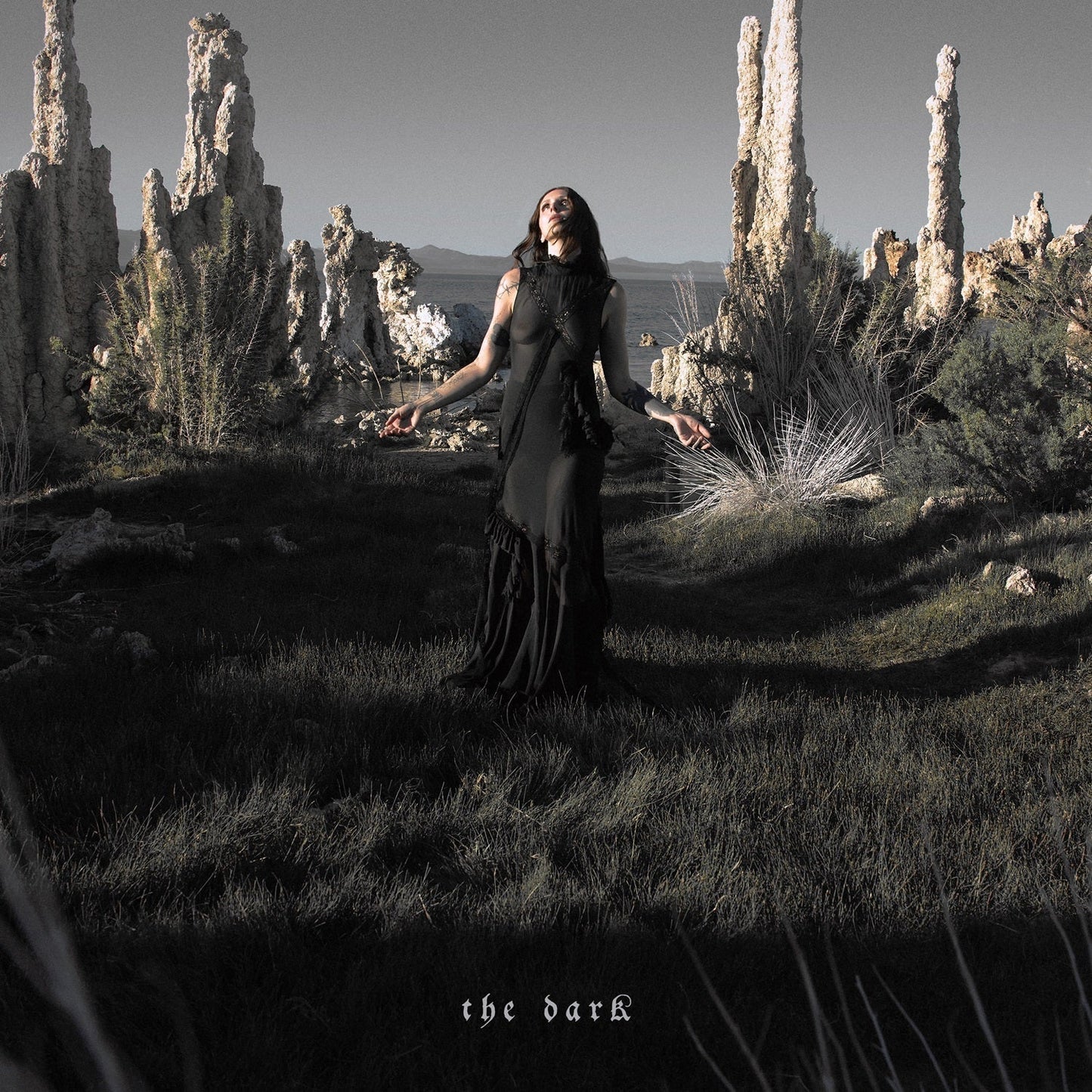 PRE-ORDER Chelsea Wolfe - The Dark [CD]