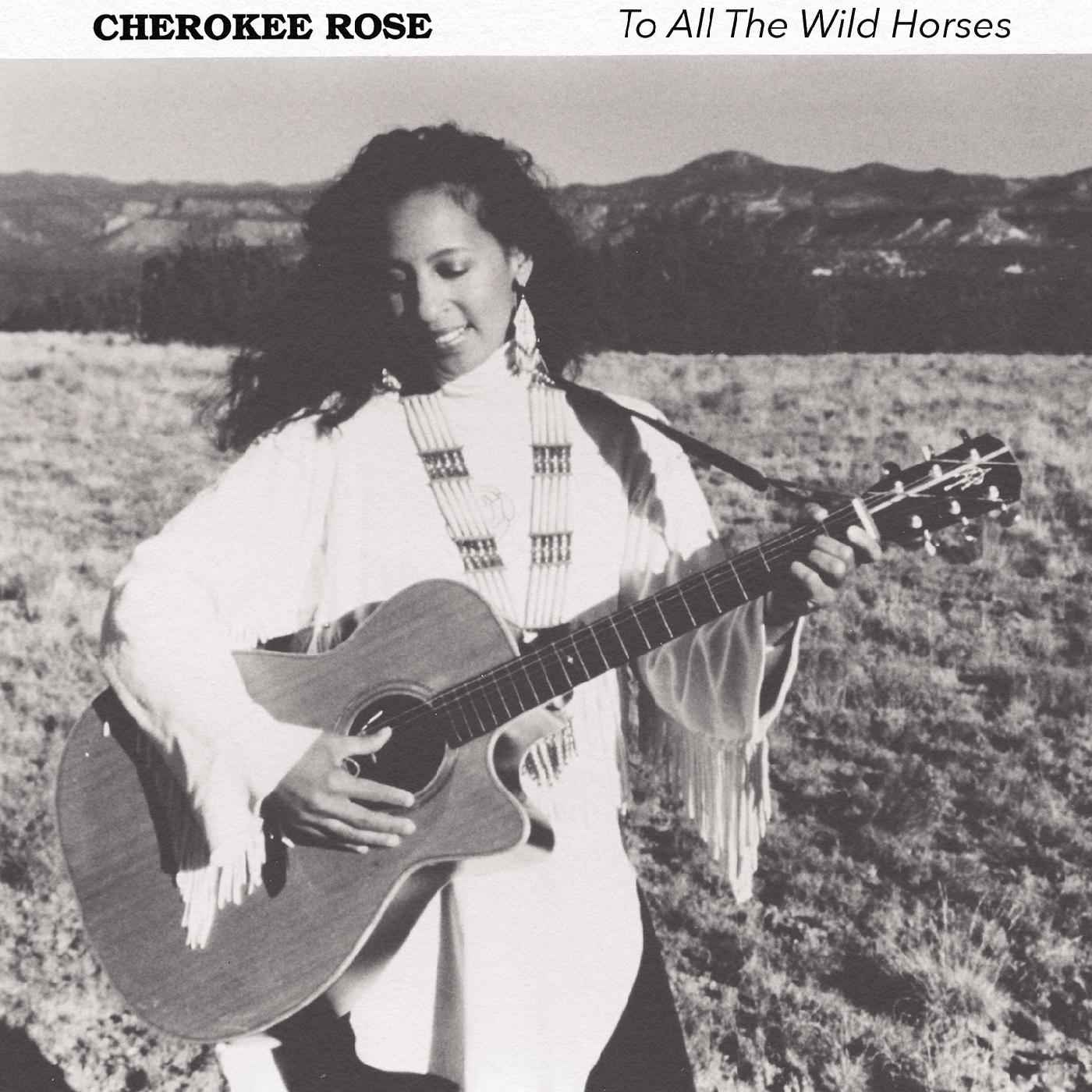 To All The Wild Horses [CD]