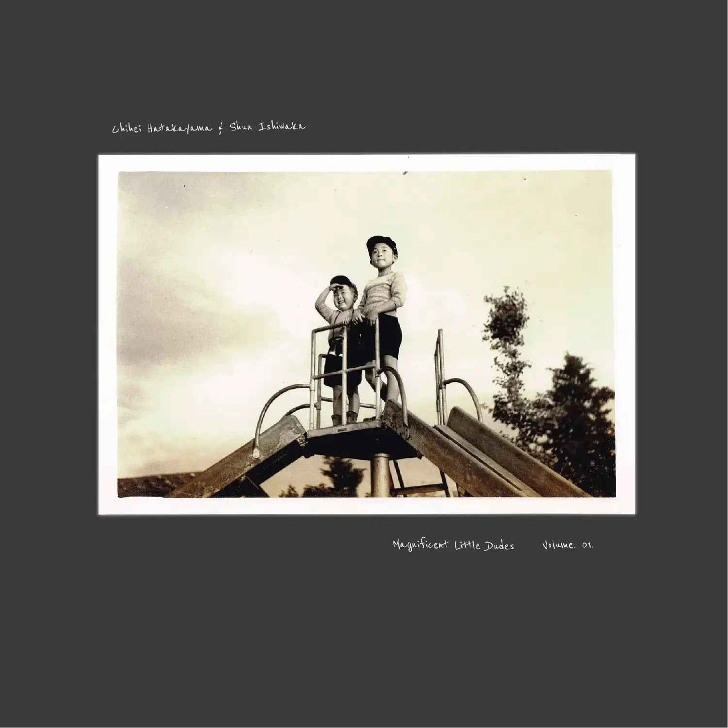 Magnificent Little Dudes Vol.1 [Vinyl]
