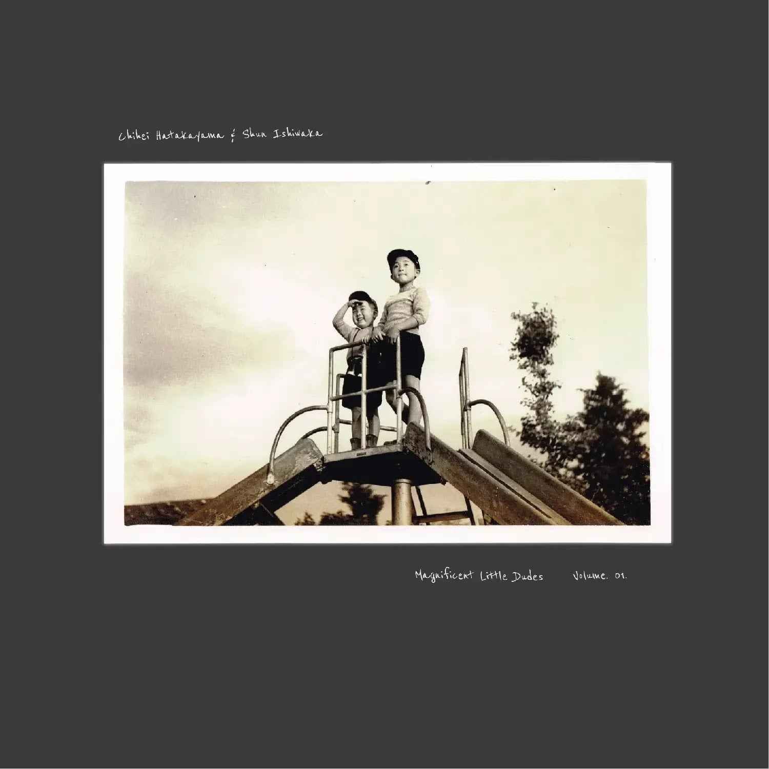 Magnificent Little Dudes Vol.1 [Vinyl]