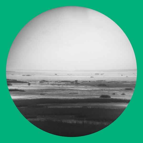 Guts Magnet Sea [CD]