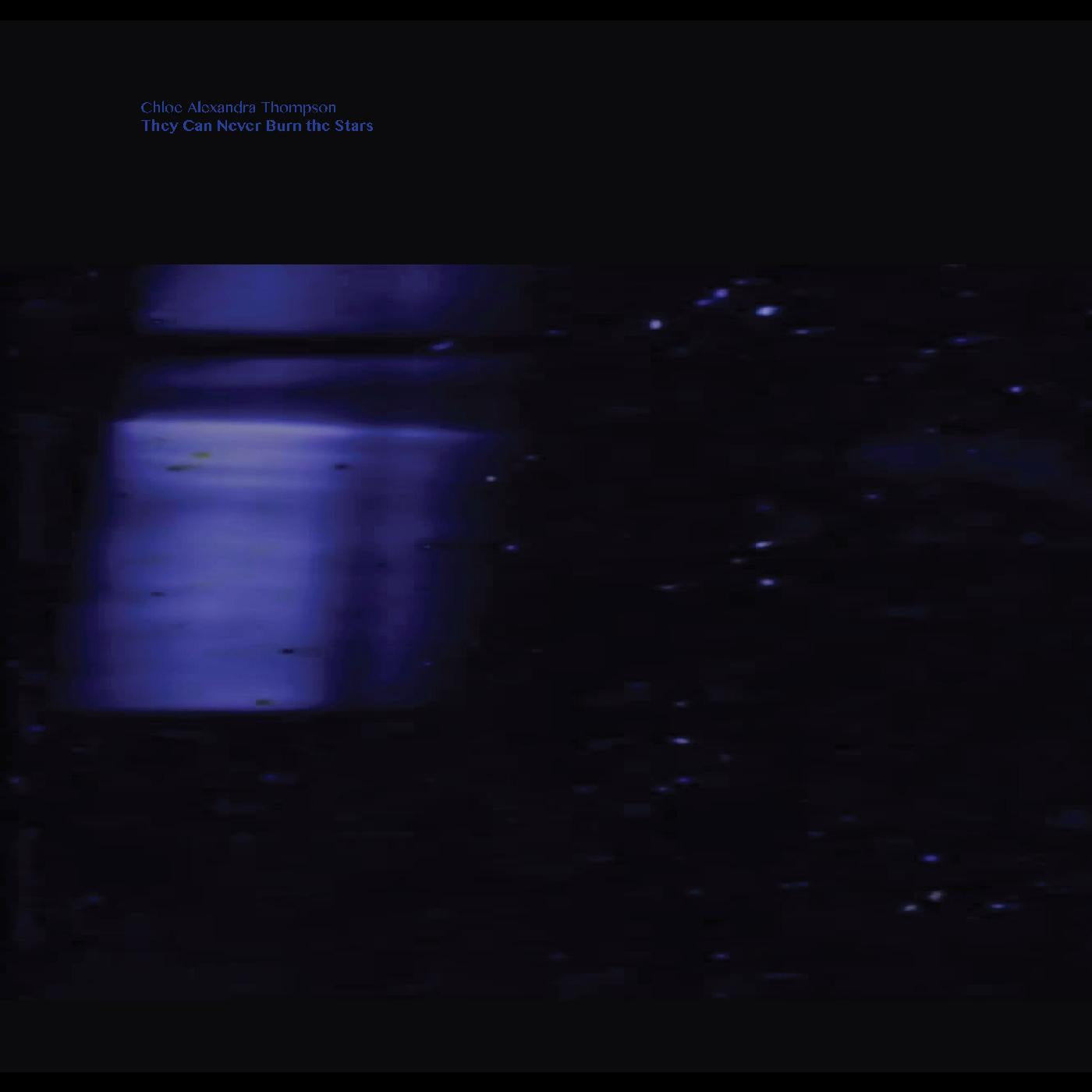 They Will Never Burn The Stars [Vinyl]