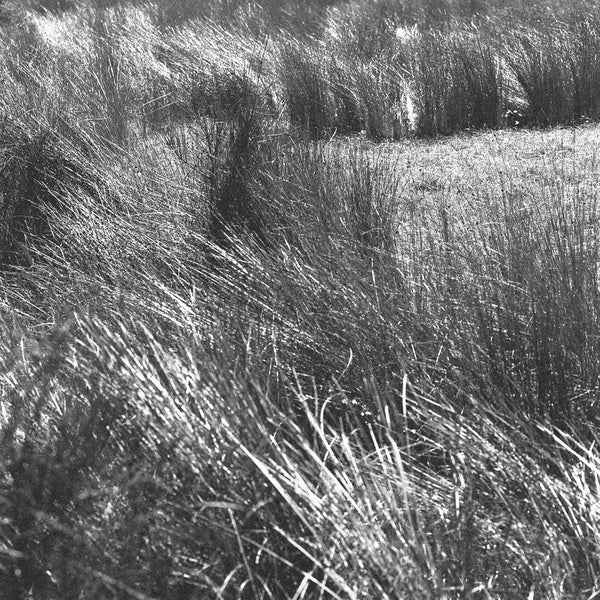 Thrown (15th Anniversary Edition) [CD]