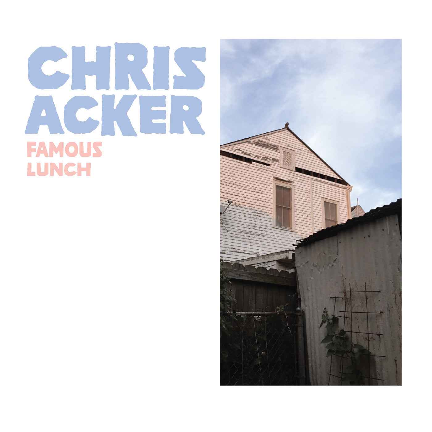 Famous Lunch (Orange / White Marble Vinyl) [Vinyl]