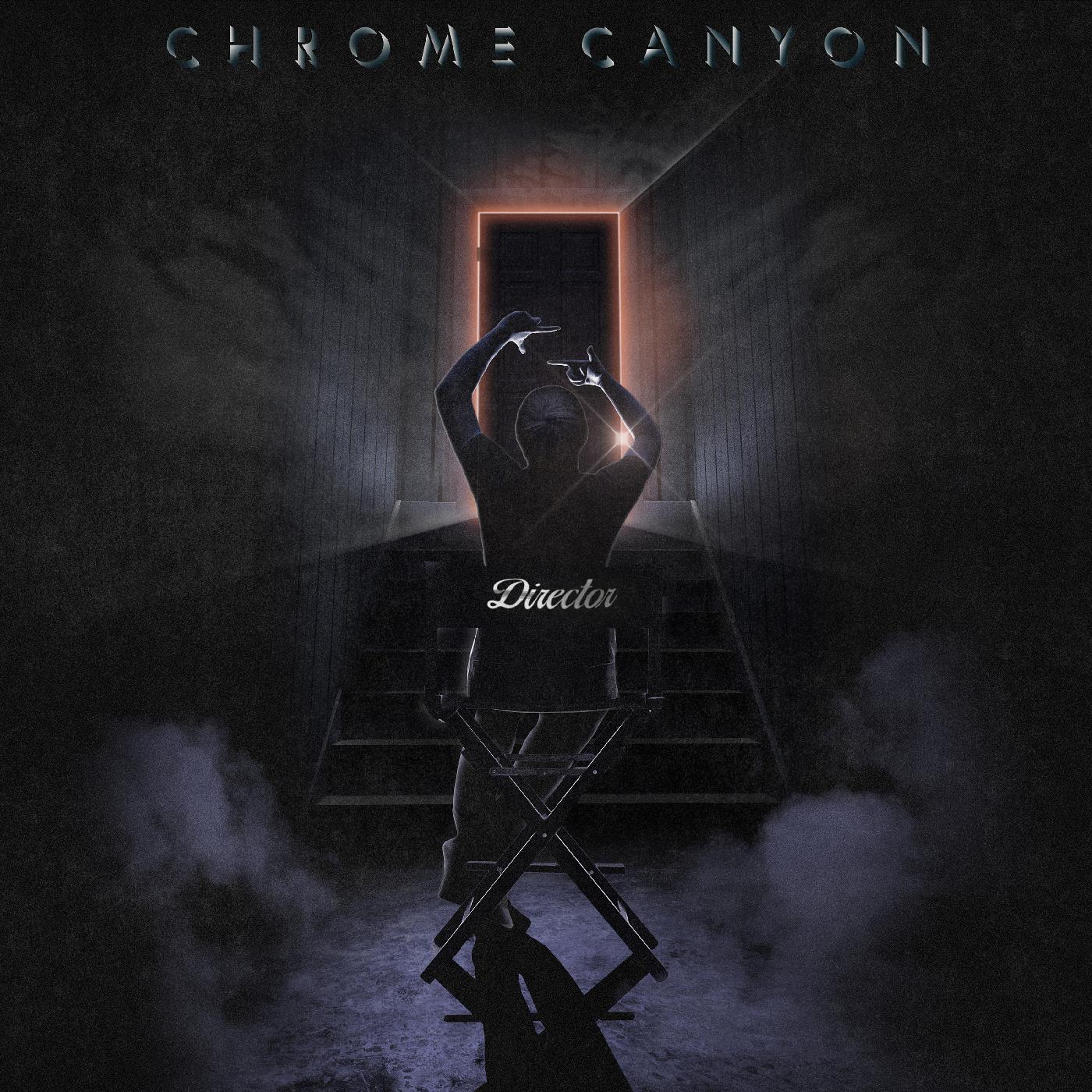 Director [Vinyl]